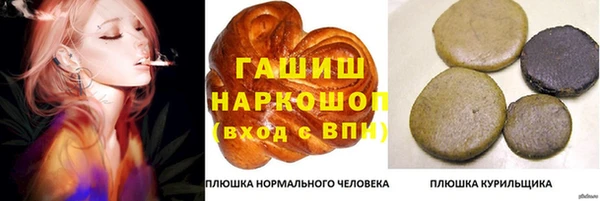 гашик Аркадак