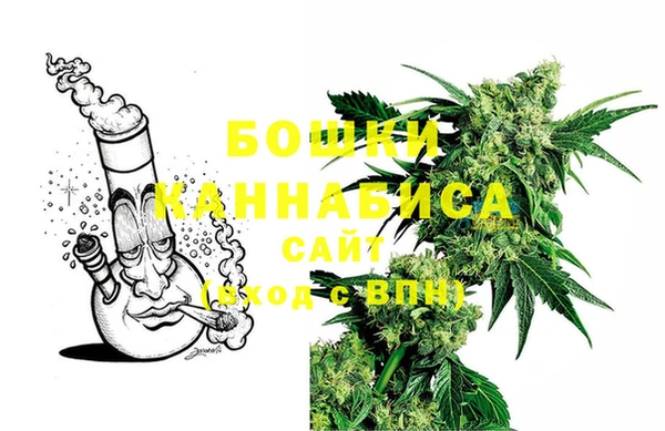 гашик Аркадак