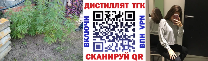 купить   Кирово-Чепецк  Дистиллят ТГК THC oil 